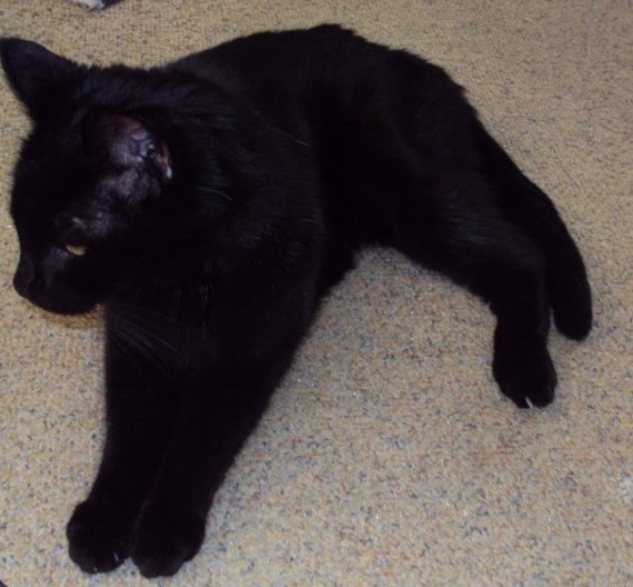 erna63 uploaded   1 year/s ago