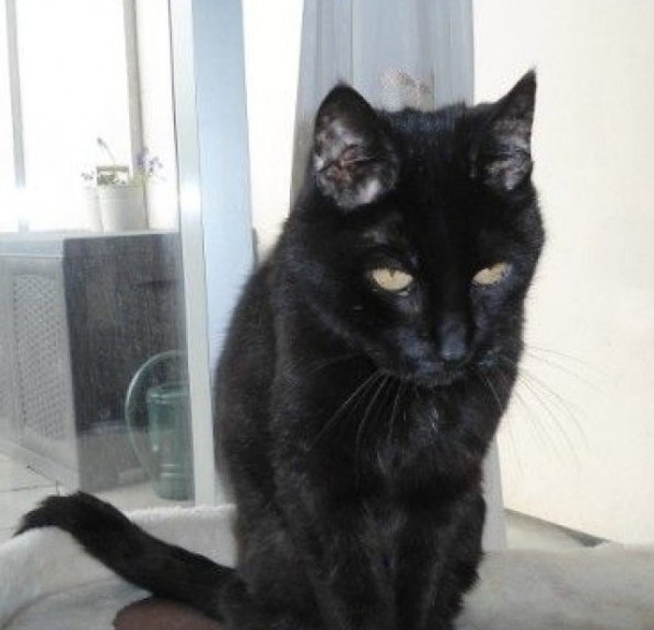 erna63 uploaded   1 year/s ago