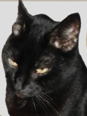 erna63 uploaded   1 year/s ago