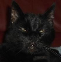 erna63 uploaded   1 year/s ago