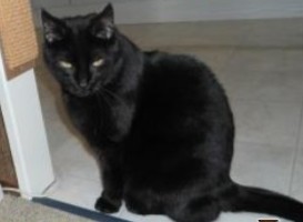 erna63 uploaded   1 year/s ago