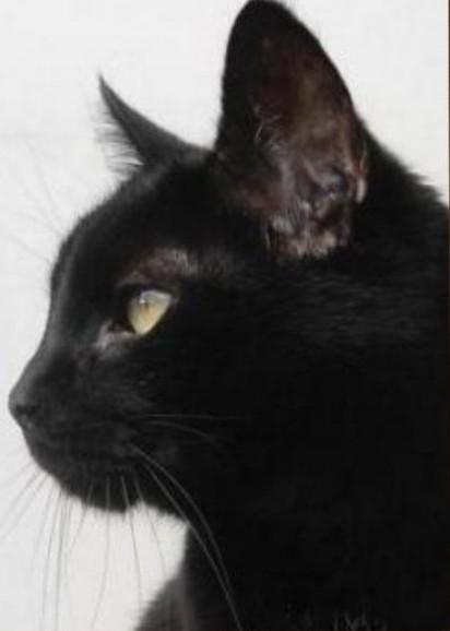 erna63 uploaded   1 year/s ago