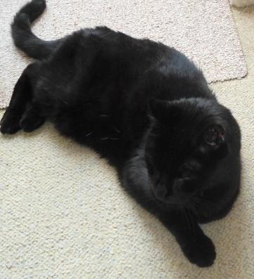 erna63 uploaded   1 year/s ago