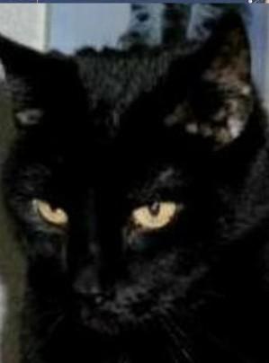 erna63 uploaded   1 year/s ago