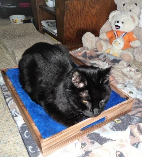 erna63 uploaded   1 year/s ago