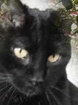 erna63 uploaded   1 year/s ago