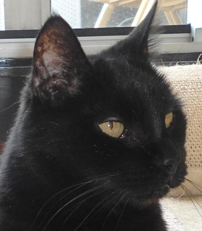 erna63 uploaded   1 year/s ago