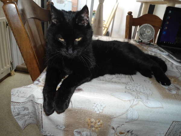 erna63 uploaded   1 year/s ago