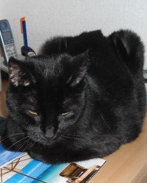 erna63 uploaded   1 year/s ago