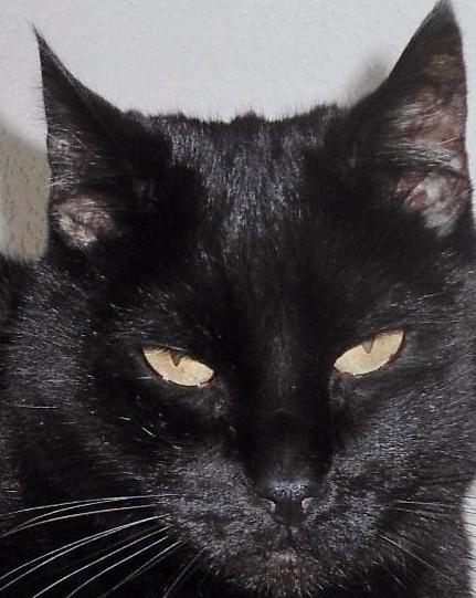 erna63 uploaded   1 year/s ago