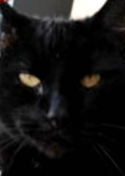 erna63 uploaded   1 year/s ago