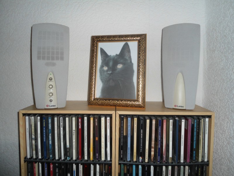 erna63 uploaded   1 year/s ago