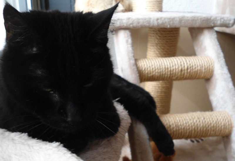 erna63 uploaded   1 year/s ago