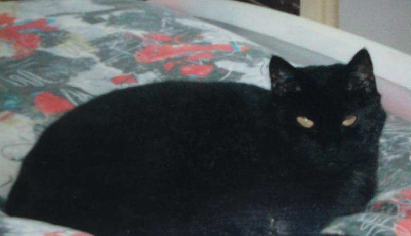 erna63 uploaded   1 year/s ago