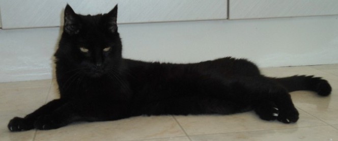 erna63 uploaded   1 year/s ago