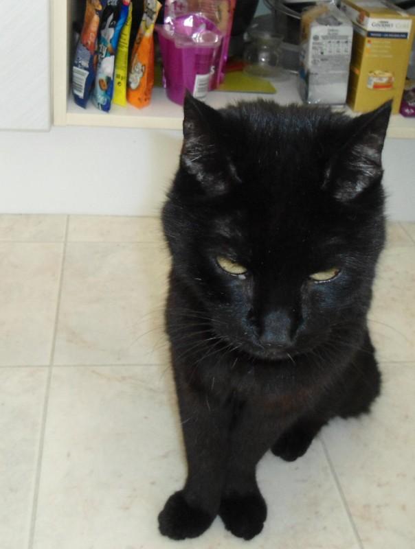 erna63 uploaded   1 year/s ago