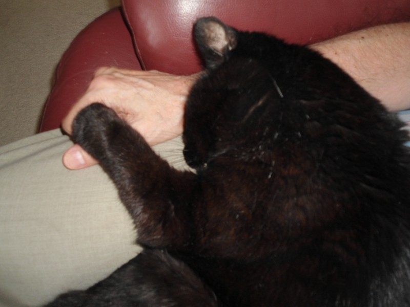 erna63 uploaded   1 year/s ago