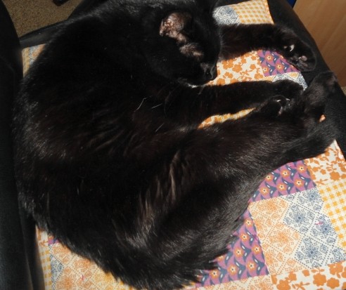 erna63 uploaded   1 year/s ago