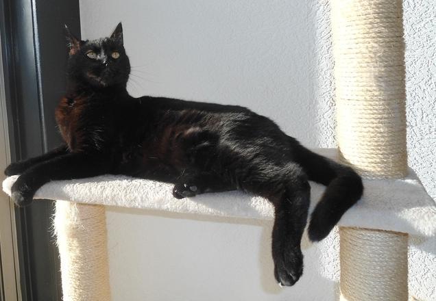 erna63 uploaded   1 year/s ago