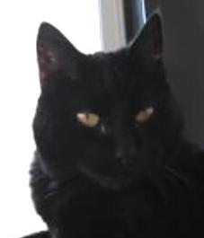 erna63 uploaded   1 year/s ago