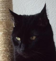 erna63 uploaded   1 year/s ago