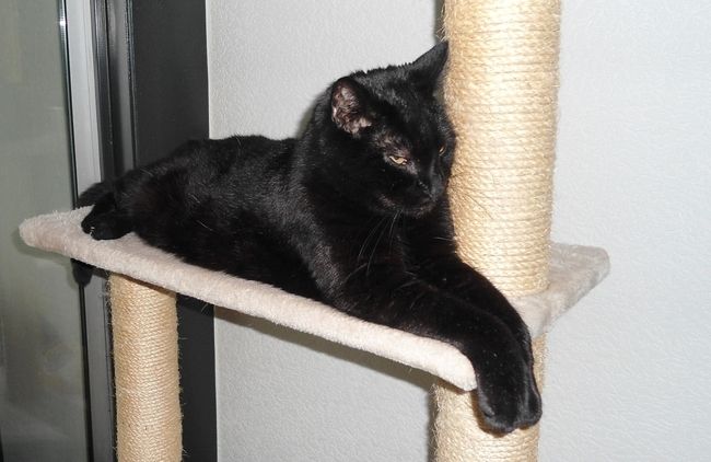 erna63 uploaded   1 year/s ago