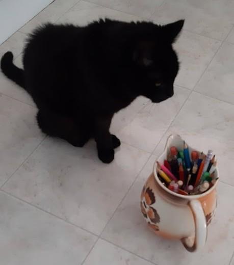 erna63 uploaded   1 year/s ago