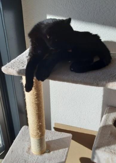 erna63 uploaded   1 year/s ago