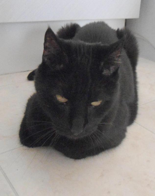 erna63 uploaded   1 year/s ago