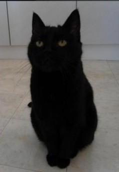 erna63 uploaded   1 year/s ago