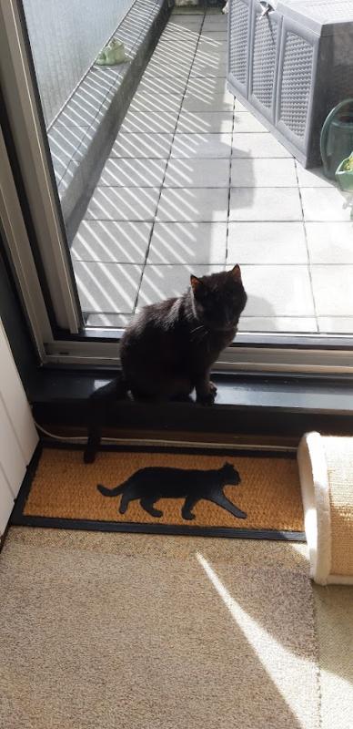 erna63 uploaded   1 year/s ago