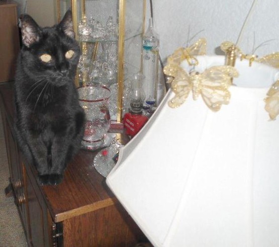 erna63 uploaded   1 year/s ago