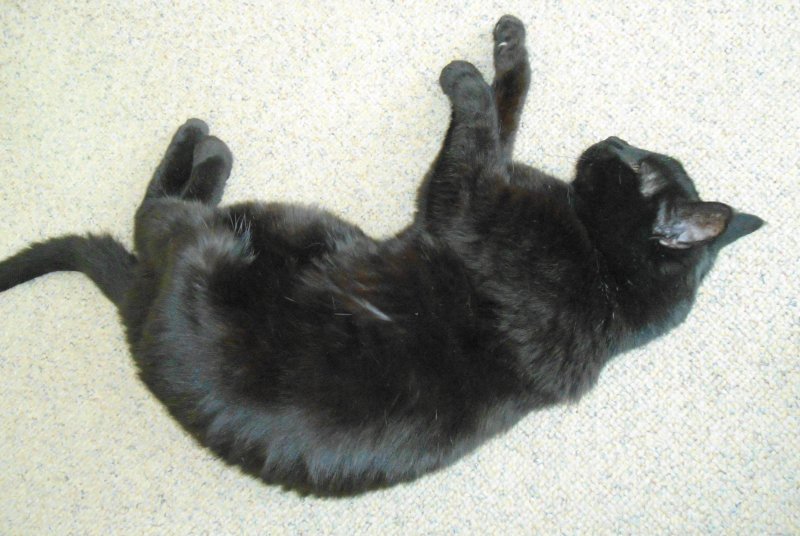 erna63 uploaded   1 year/s ago