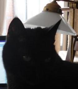 erna63 uploaded   1 year/s ago