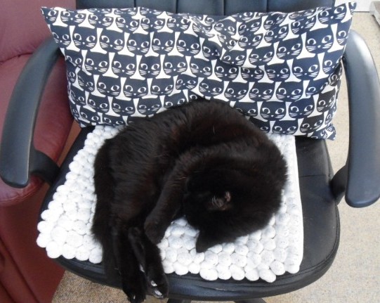 erna63 uploaded   1 year/s ago