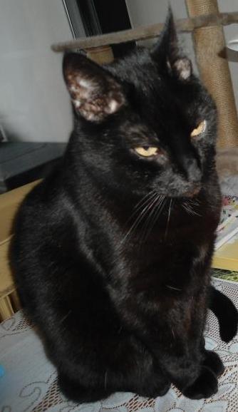 erna63 uploaded   1 year/s ago