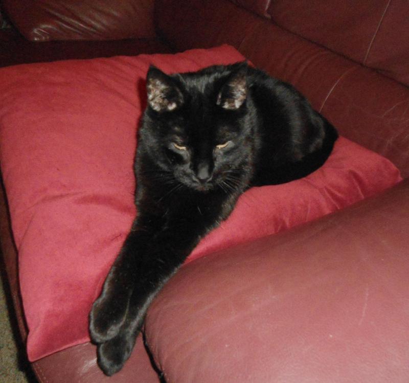 erna63 uploaded   1 year/s ago