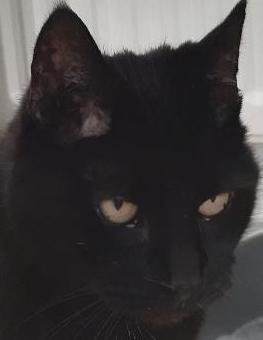 erna63 uploaded   1 year/s ago