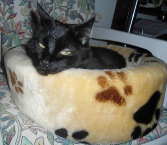 erna63 uploaded   349  day/s  ago