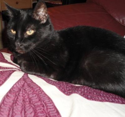 erna63 uploaded   362  day/s  ago