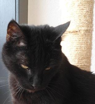 erna63 uploaded   362  day/s  ago