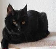 erna63 uploaded   337  day/s  ago