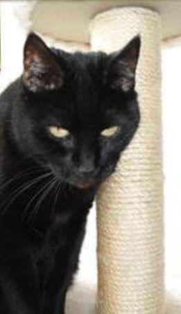 erna63 uploaded   333  day/s  ago