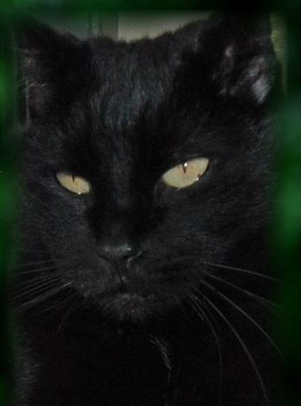 erna63 uploaded   333  day/s  ago