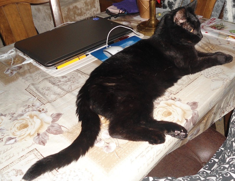 erna63 uploaded   361  day/s  ago