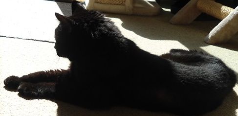 erna63 uploaded   332  day/s  ago