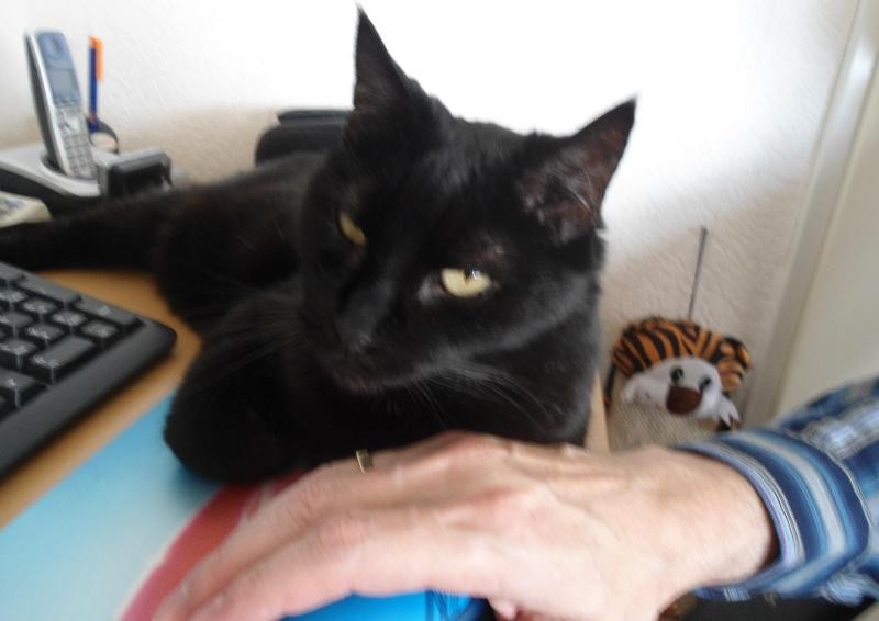 erna63 uploaded   332  day/s  ago