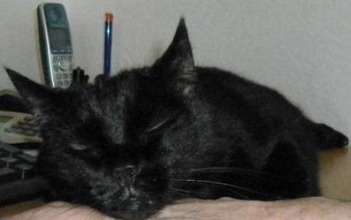 erna63 uploaded   359  day/s  ago