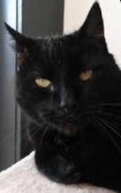 erna63 uploaded   329  day/s  ago