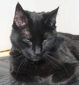 erna63 uploaded   324  day/s  ago